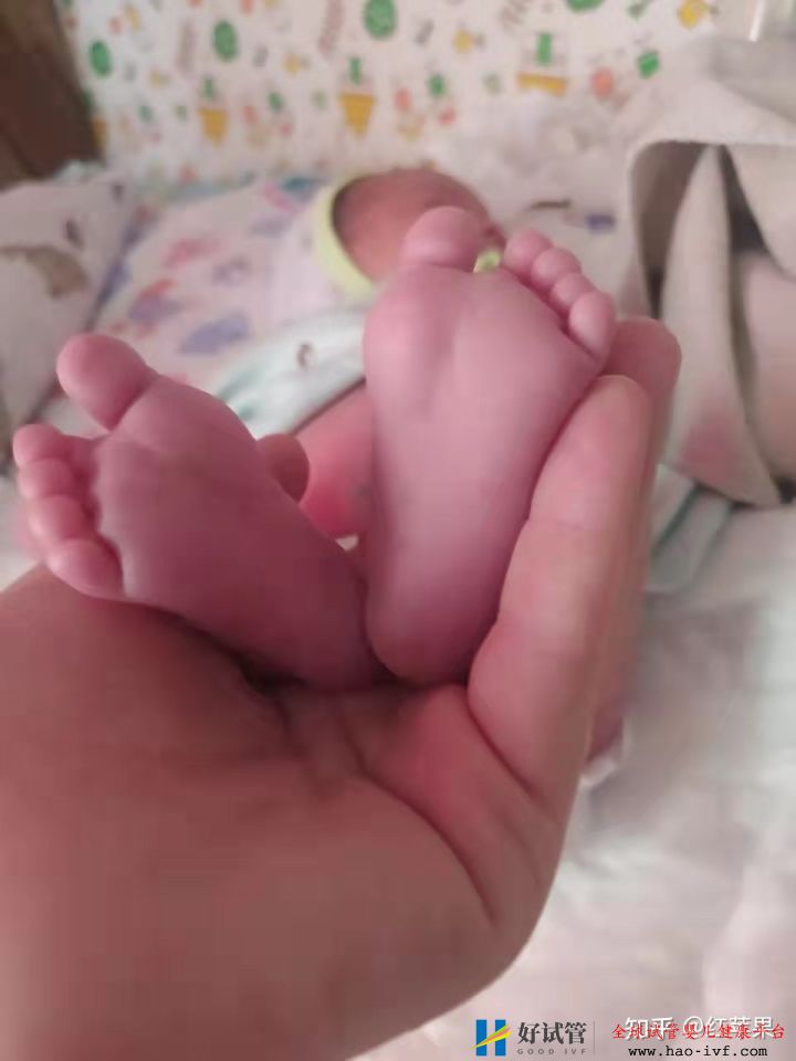 三代试管婴儿一次成功,33岁终于有了自己的孩子!—...(图16) 三代试管婴儿一次成功,33岁终于有了自己的孩子!—...(图16)