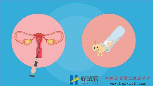 试管移植失败后多久可以再次促排取卵(图1) 试管移植失败后多久可以再次促排取卵(图1)