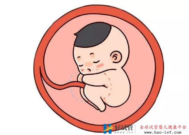 37岁还能做试管婴儿,能成功怀上宝宝吗?(图1) 37岁还能做试管婴儿,能成功怀上宝宝吗?(图1)