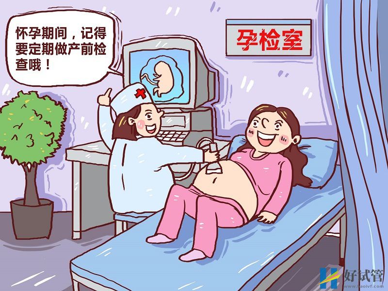 NT检查一次性通过有技巧,避免这些查不出的坑(图2) nt检查需要看时间