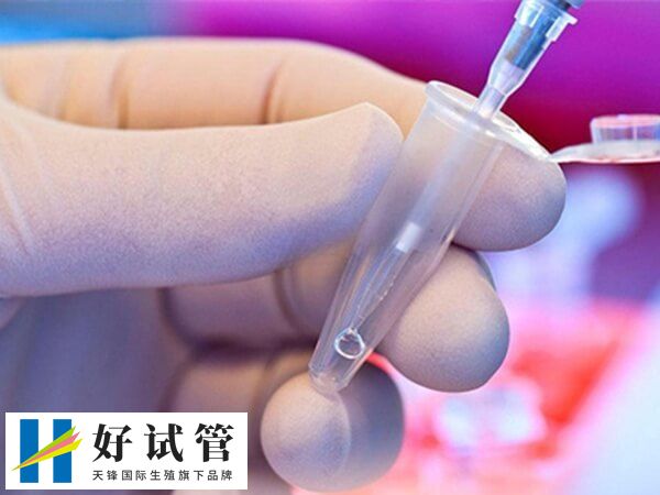 取卵取精是同一天