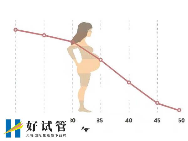 45岁做试管一次成功率是多少(图1) 试管成功率与女性年龄成反比