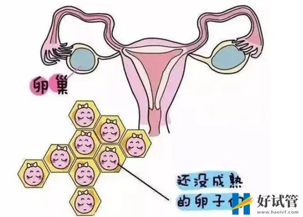 三代试管婴儿 三代试管婴儿